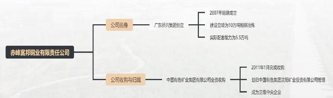 粗铜供应与消费情况研判 产业面临的挑战与机遇【SMM铜峰会】(图2)