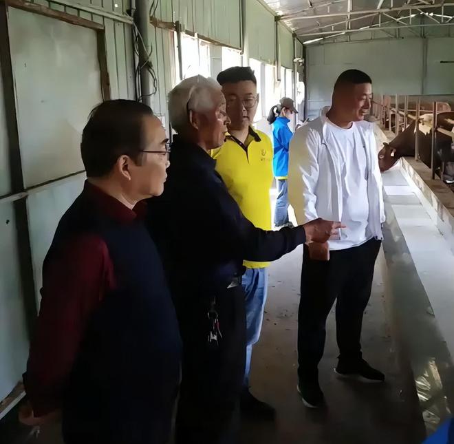 养牛关键知识点：泽牧久远技术总监黄正勇谈牛消化吸收的重要性(图2)