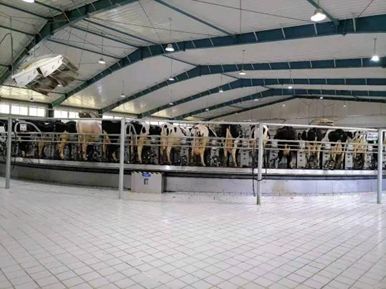 全国兽用抗菌药使用减量化行动【奶牛养殖场减抗典型案例】之河北乐源牧业(图3)