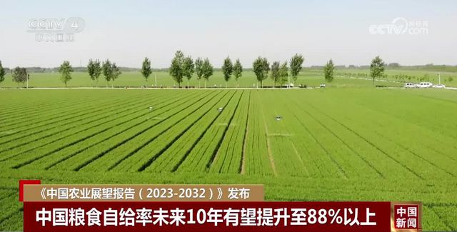 未来10年我国猪肉产量负增长？全球生猪产业发展解读！(图8)